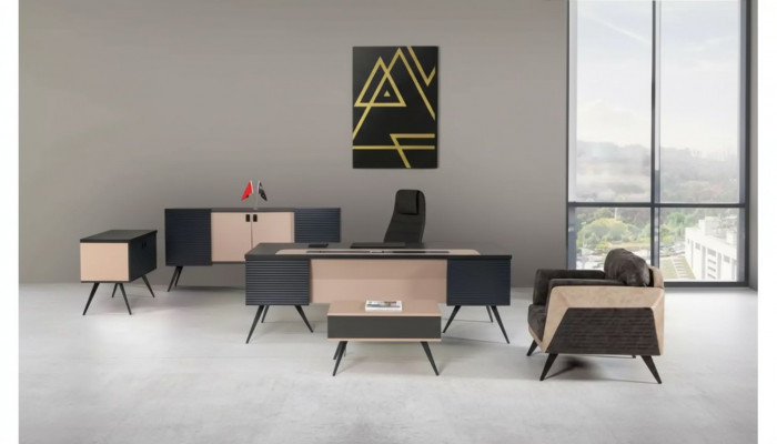 Modern Aarbechtszëmmer Set Luxus Büro-Miwwel Akteschaf Schreifdësch