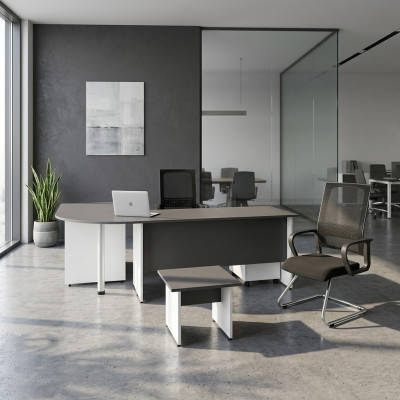 Bürosmiwwel Set Büro komplett 2 Stéck Bürosdësch Ariichtung Couch-Dësch Dësch