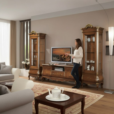Klassesch Wunnzëmmerwand RTV 2x Vitrinnen Massivholz Miwwelen TV-Regal Nei