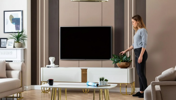 Luxe TV Ständer Schaf Cabinet Kommode Lowboard TV Schaf Sideboard nei