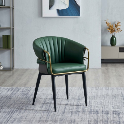 Grénge Iesszëmmerstull Designer Holzbee Kënschtläderstull Edelstol Miwwelen