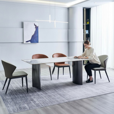 Iesszëmmer Miwwelen Modernen Iessdësch 6x Gestillsëtzer Designer Iessgrupp