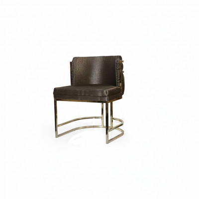 Luxus Still brong Faarf modern Miwwelen mat Metallsframe fir Iesszëmmer