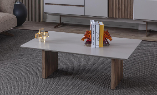 Couchtisch 120 x 68 Dësch Miwwelen Ariichtung Holzdëscher Modern Miwwelen