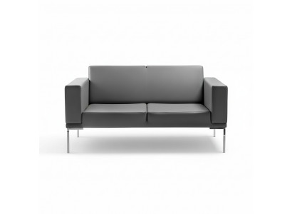 Grom Servicestylist 2-Sëtz Designer Polstersofa Kënschtlecher Lieder Couchen 2-er