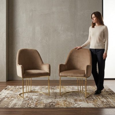 Stull Gold Iesszëmmer Design Textil Still Miwwelen Luxus Lehnstull Nei