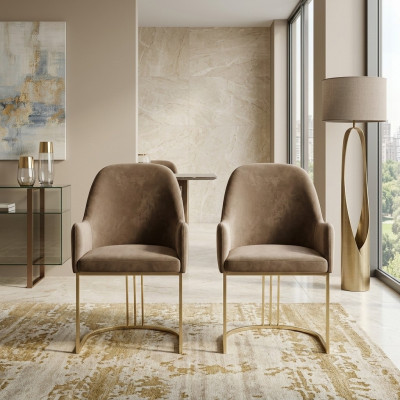 Stull Gold Iesszëmmer Design Textil Still Miwwelen Luxus Lehnstull Nei