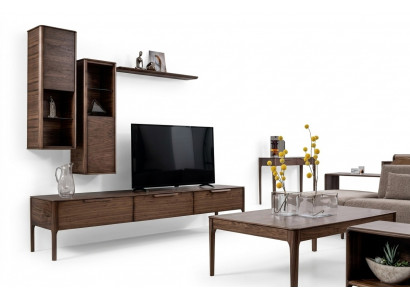 Wunnzëmmer Set Schiefwand Regal mat TV Stand Modernen Designen Wunnwand