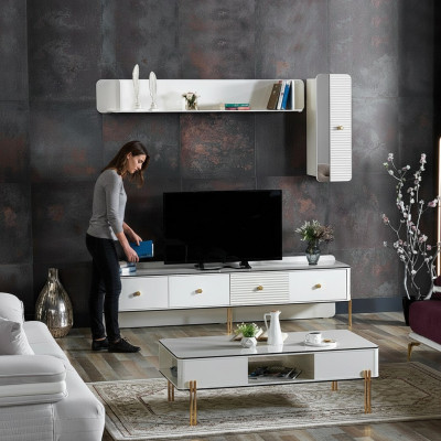 Modern RTV Regal Sideboard RTV Kommode Lowboard Fernseh Stänner Schaf Mobiliar