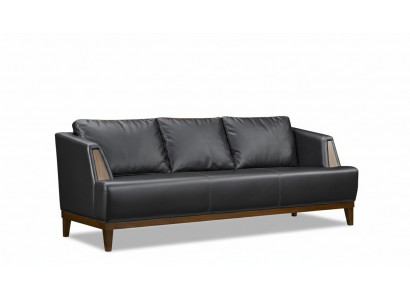Schwaarzen Designer Lieder Dräisëtzer Modern Wunnzëmmer Polster Canapé