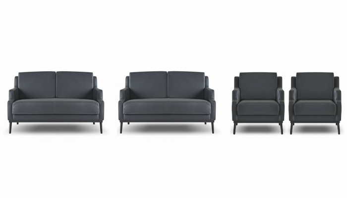 Aarbechtszëmmer-Set 4tlg 2x S-Sëtzer 2x Fotell Däischtergréng Eefaarveg Modern