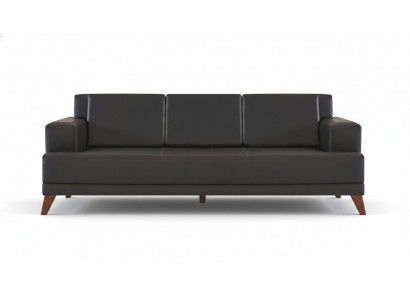 Liederkanapé Modern 3-Sëtzer Schwaarz Eenfaarweg Canapé Plëscher Këssen Holz