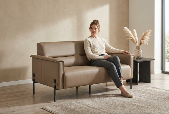 Beige Canapé 2-Plaz Sofa Modern Ledersofa Sitzmöbel Zweesëtzeg Lieder