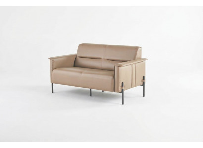 Beige Canapé 2-Plaz Sofa Modern Ledersofa Sitzmöbel Zweesëtzeg Lieder