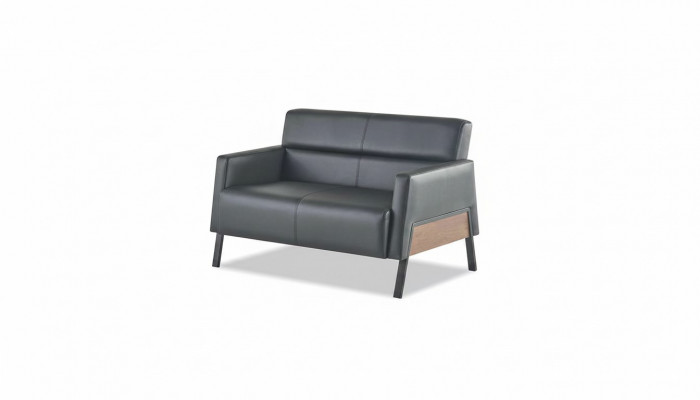 Schwaarze Sofa 2-Sëtzer Lieder-Sofa Modern Canapé Lieder Edelstol Zweesëtzeg