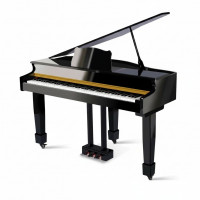 Pianoen & Fligelen