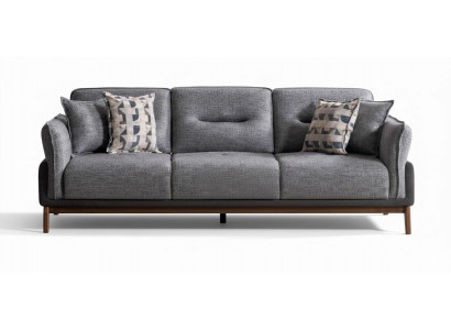 3-Sitzer-Sofa Dunkelgrau Moderner Stil Holzrahmen Weiche Armlehnen