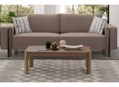 Stilvolles Sofa-Set  Minimalistischer Stil Braune Modernes Interieur