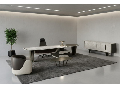 Luxus Büro Set Schreibtisch Sideboard Couchtisch Sessel Design