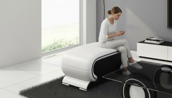 Designer Liederhaisch Loungen Haisch Canapé Sofa Pabeiert Fernseh.