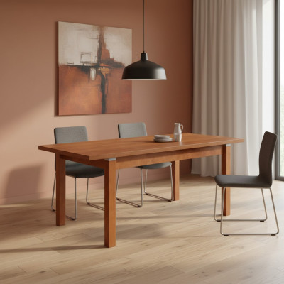 Dësch Iessdësch Holzdësch XXL Konferenzdësch S18-L-S 90X160cm Auszéiibar